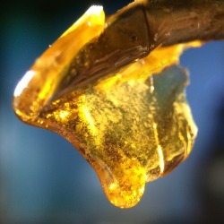 shesmokesjoints:  Dabbin on this fire live resin 