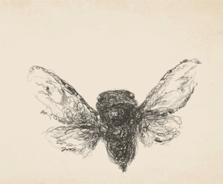   mayrahr:  “Just as the cicada dies singing, I want to die