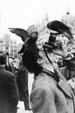 blackpicture: Jack Garofalo Alain Delon. Venice. Italy (1962)