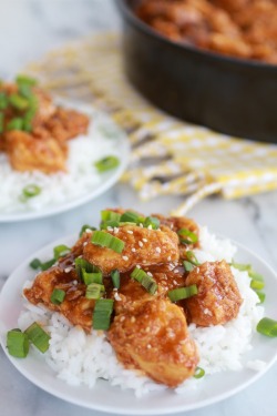 do-not-touch-my-food:  General Tso’s Chicken