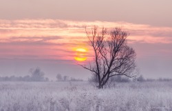 expressions-of-nature:by Katarzyna Gritzmann