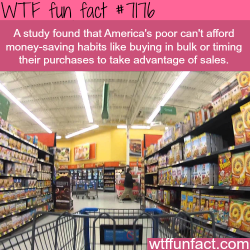 bogleech:  truefactsaboutlies:  wtf-fun-factss: Its expensive