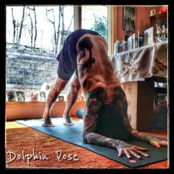 yogadudes:  Day 12 Dolphin Pose (Makarasana) “When you come