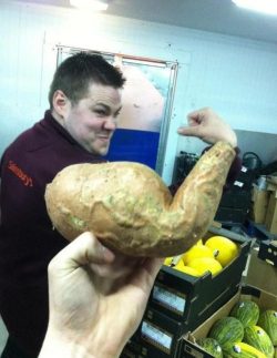 theclearlydope:  Sweet potato is jacked, son.  (via)