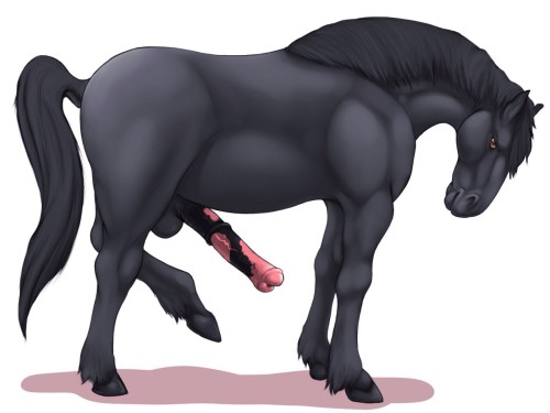 nice bighorse-cock