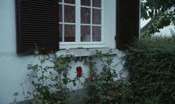 filmaticbby:Pauline at the Beach (1983) dir. Éric Rohmer