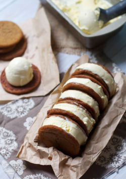 fattributes:  Ginger Vanilla Bean Ice Cream Sandwiches 