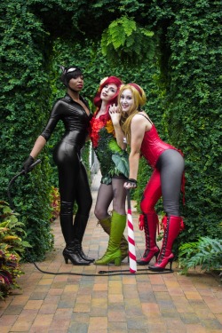 hjsteele:  The Gotham Sirens   Catwoman: ariel8619 Poison Ivy: