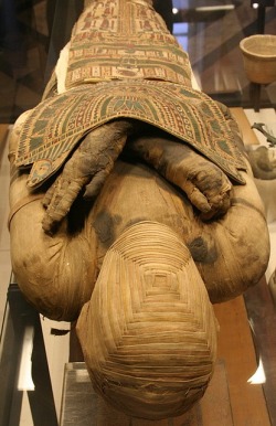 Egyptian mummy from the Louvre museum