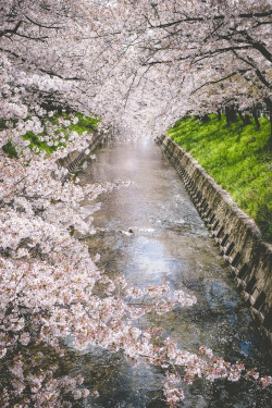 japan-overload:  by   Victor Leung