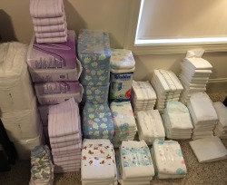 diapernerd:  Got some new dips today! Here’s my stash :).