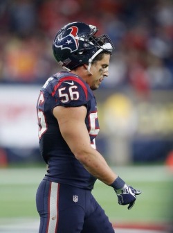 phil1000:  Brian Cushing