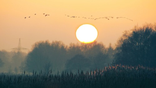 “The wind makes you ache in some place that is deeper than your bones. It may be that it touches something old in the soul, a chord of race memory that says migrate or die – migrate or die.” ~ Stephen King