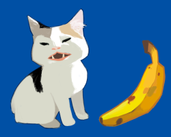 exexunderscore:cat no banana