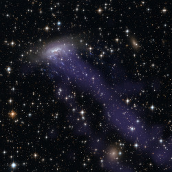 just–space:  ESO 137-001 is travelling through cosmic dust