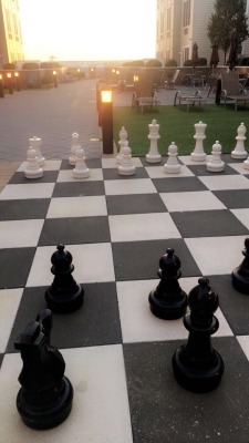 lseda:  The king might be the most important piece on the chess