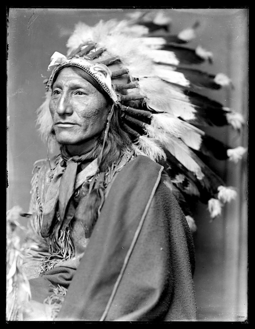 Whirling Horse. Lakota. ca. 1900. Photo by Gertrude Käsebier