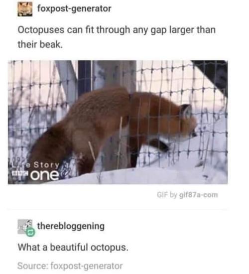 memesandlaughs:  Memes And Laughs
