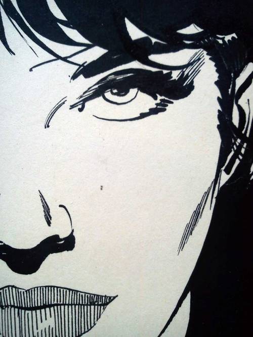 Panel from Modesty Blaise: Million Dollar Game, by Peter O’Donnell and Enric Badia Romero (Titan Books, 2011) From Oxfam in Nottingham.  Film history from an alternate universe… “ The Modesty Blaise film series, currently celebrating its