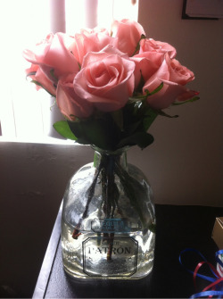 chaseskippy:  Rosas. Tequila. Perfection.  This is perfect<3