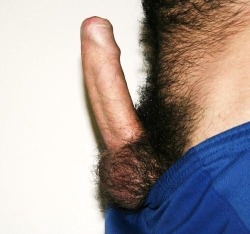 hairypo:  This is s familiar sight in my gym… Chris, Lee, Colin….