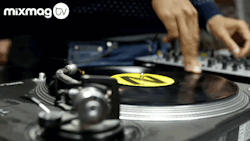 music4thebasshead:  Apollonia 100% Vinyl DJ set @ Syncrophone,