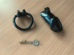 Chastity review: Holy Trainer V2 vs. CB 6000