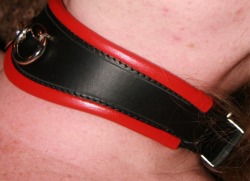 willfulsubmission:  27/12/14 Thoughts on my collar Yesterday