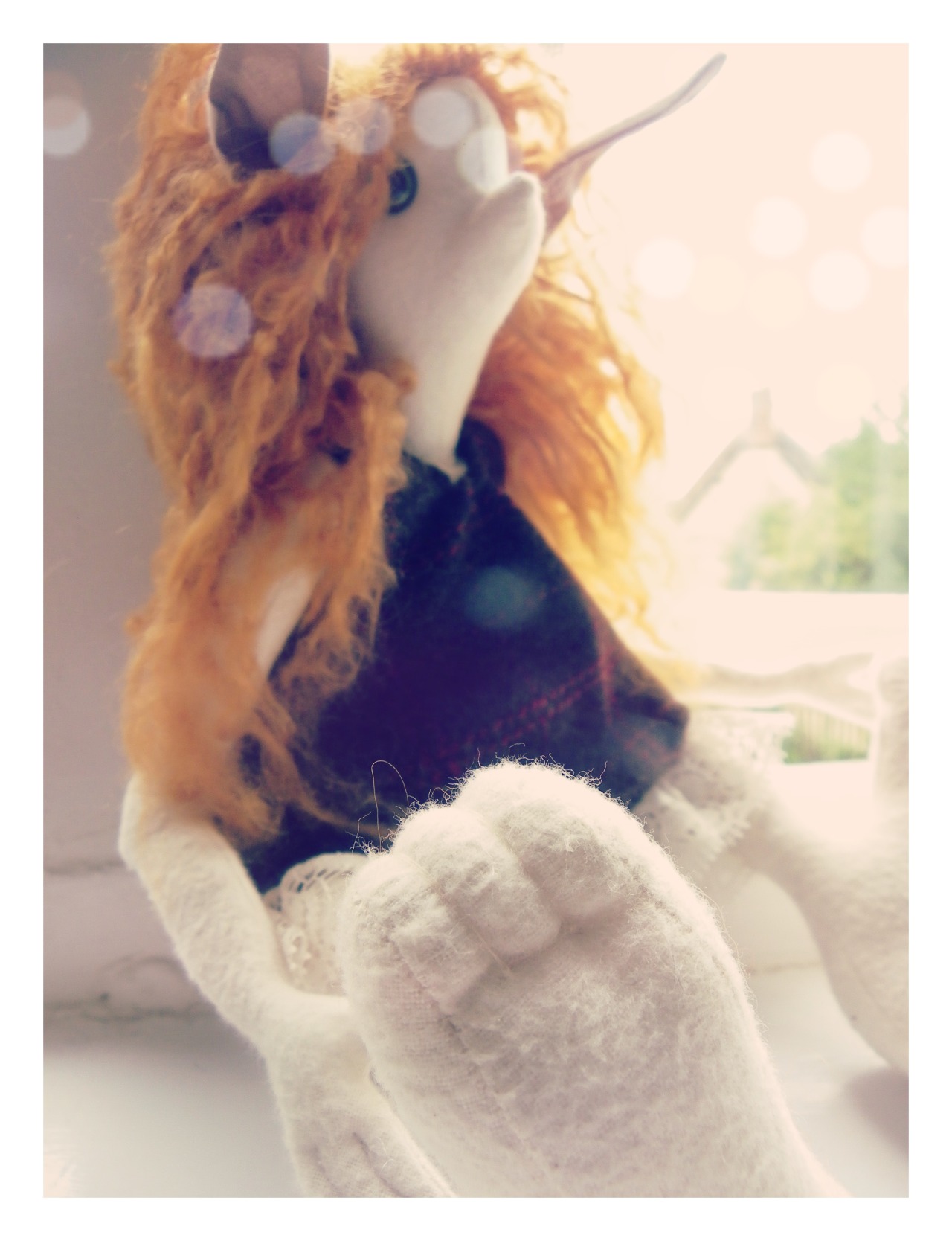 tumblr photo