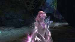 tranquil-effect:  My Sylvari has the freckle face now. <3