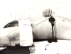 raveneuse:  Hermann Nitsch, photo from the edition “The Orgy