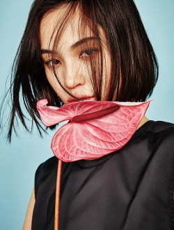 teammizuhara:  Kiko Mizuhara For EMODA 2016SS  