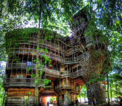 cjwho:  The World’s Biggest Tree House by Horace Burgess Located