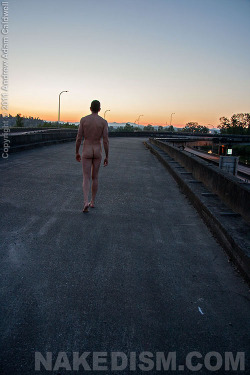nakedism:  Ever been stranded naked on the road? Or thought about