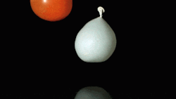 thekidshouldseethis:  Water Balloons Falling (and Bouncing) in