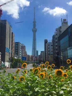 japanpix:[OC] Taken near Asakusa station