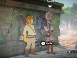 lemonfont: xanakoap:  Omg Link is a freaking gnome.  Zelda: Manlet