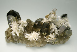fuckyeahmineralogy:  Bertrandite on smoky quartz; Karaganda Oblast,