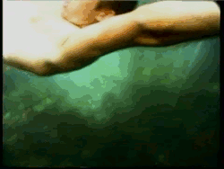 Swimming With Sharks