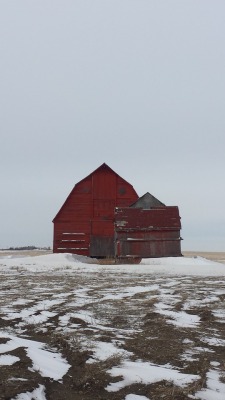 nyblueeyes:  ryverfenix:  Red.  Love beautiful red barns. Makes