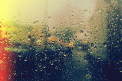 walkthisemptynorthernhemisphere:  rainy day on We Heart It. http://weheartit.com/entry/54310569/via/evening_adventures