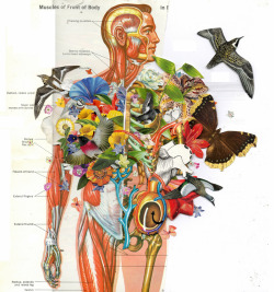 devidsketchbook:  ANATOMICAL COLLAGE BY BEN GILES UK, Kingston-based