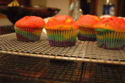 powerl-ss:  my rainbow cupcakes » yours 