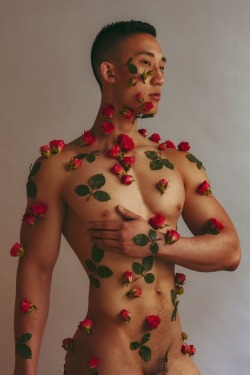 morenakedboys:  Flowers by Travis Chantar