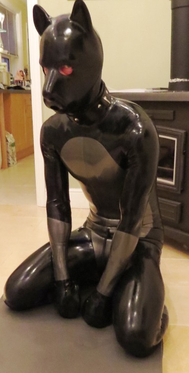 cycleracer:  Pup time (Rubber) 