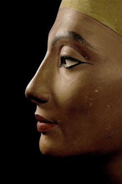 grandegyptianmuseum:    Nefertiti Bust, sculpture detail