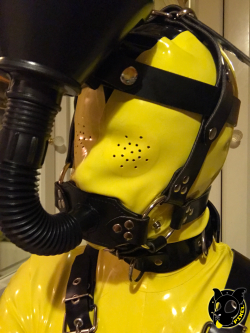 puppixel:  My new funnel gag arrived so thought I’d try it