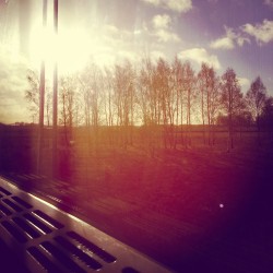 skogsraw:  From a train trip just before winter arrived. 
