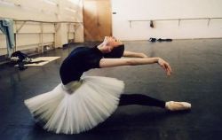 birdasaurus:  Svetlana Zakharova