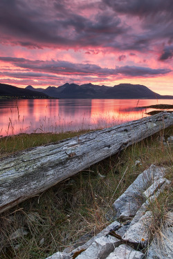 sundxwn:  ERVIKA by ~~~johnny~~~ 